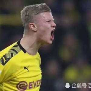  哈兰德替补双响助多特客胜莱比锡  